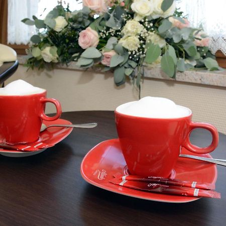 Hotel Swietokrzyski Dwor Нова Свупья Екстер'єр фото